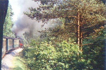 Le train  vapeur "Rasender Roland" entre Ghren et Binz
