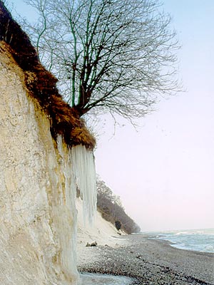 El acantilado de tiza de Stubbenkammer en invierno
