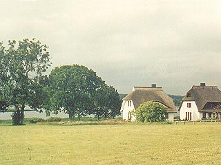 Casas con tejado de brezo (paja) en la península de Ummanz, isla de Rügen