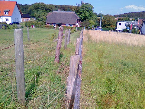 Rügen, parcelle constructible proposée à l'achat dans le parc national de Jasmund près de Sassnitz: le terrain vu du sud